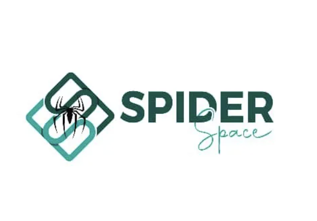 Spider Space