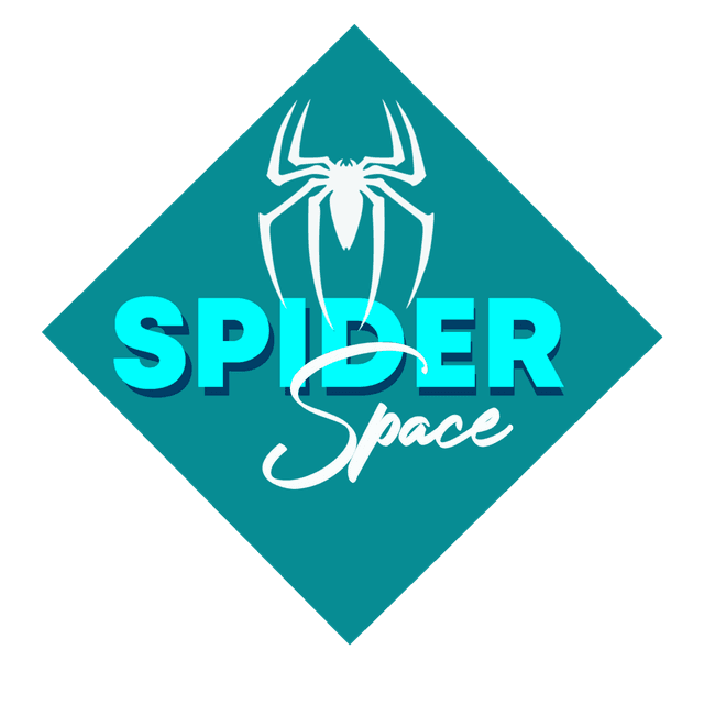 Spider Space